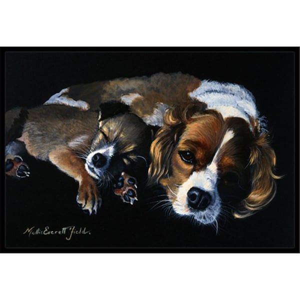Carolines Treasures Cozy Pals with Cavalier Spaniel Indoor or Outdoor Mat- 18 x 27 FMF0022MAT - main